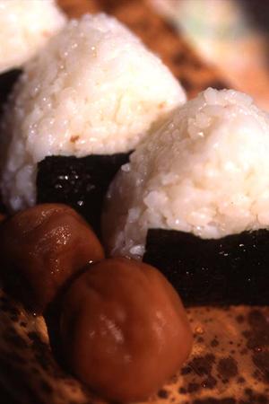 みなとみらいのシェイクシャックで体験する新しい食の楽しみ