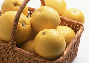 福岡にある美味しいもつ鍋のお店