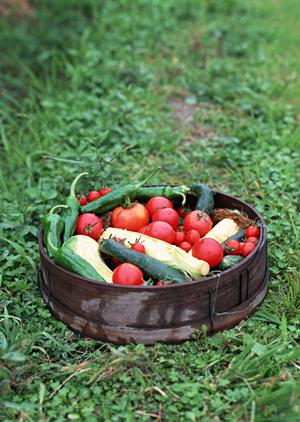 心斎橋のおすすめカフェ完全ガイド2025｜おしゃれ店から穴場スポットまで徹底解説