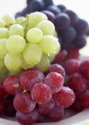 世界のビール博物館 グランフロント大阪店の魅力と特徴