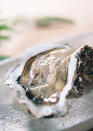 地域に愛され続けるお弁当店「お弁当のつるや」：岡山県津山市の仕出し弁当と惣菜の魅力